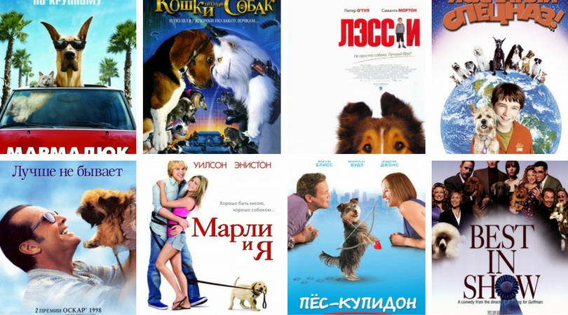 Детские фильмы про собак