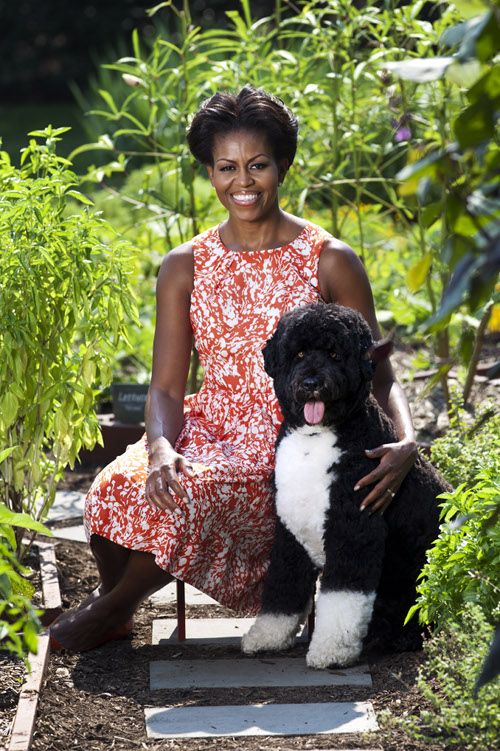 First Lady Michelle Obama poses for a portrait with the family dog, Bo, for a garden book- summer photo shoot, in the White House Kitchen Garden on the South Lawn of the White House, Sept. 14, 2011. (Official White House Photo by Lawrence Jackson)