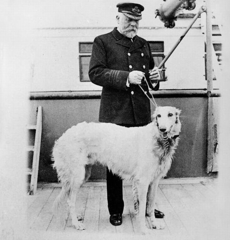 Собаки Титаника
