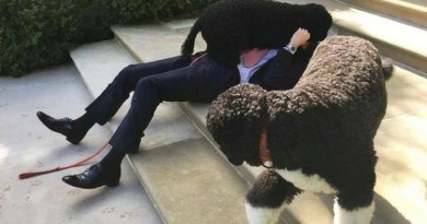 Президент США играет с собаками