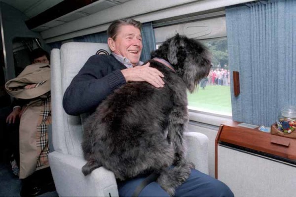 Собака президента США Рональда Рейгана