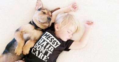 Дружба собаки и мальчика