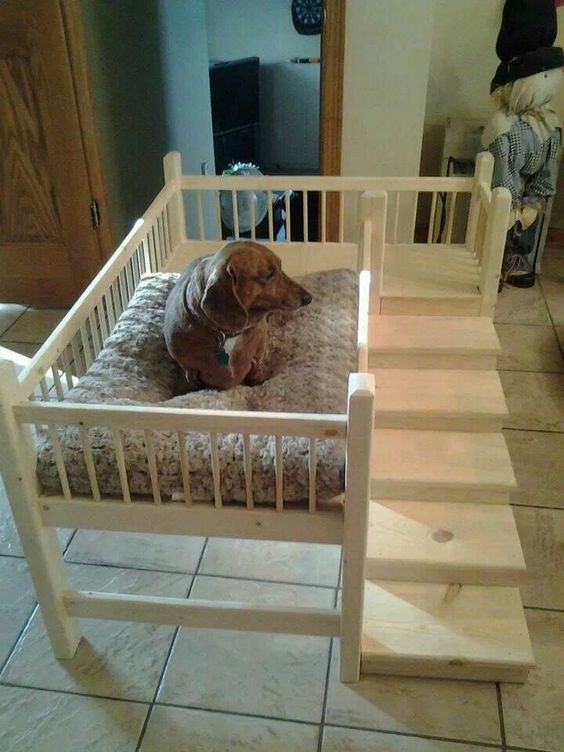 Двухъярусная кровать для собаки