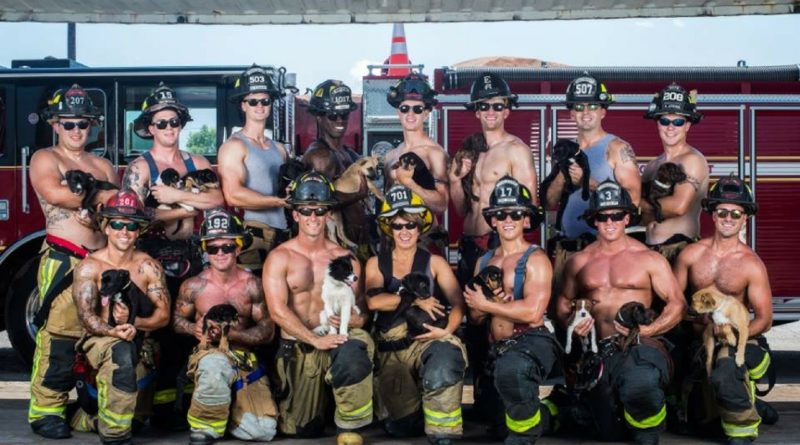 Пожарные спасают собак