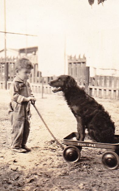 Ребенок и собака
