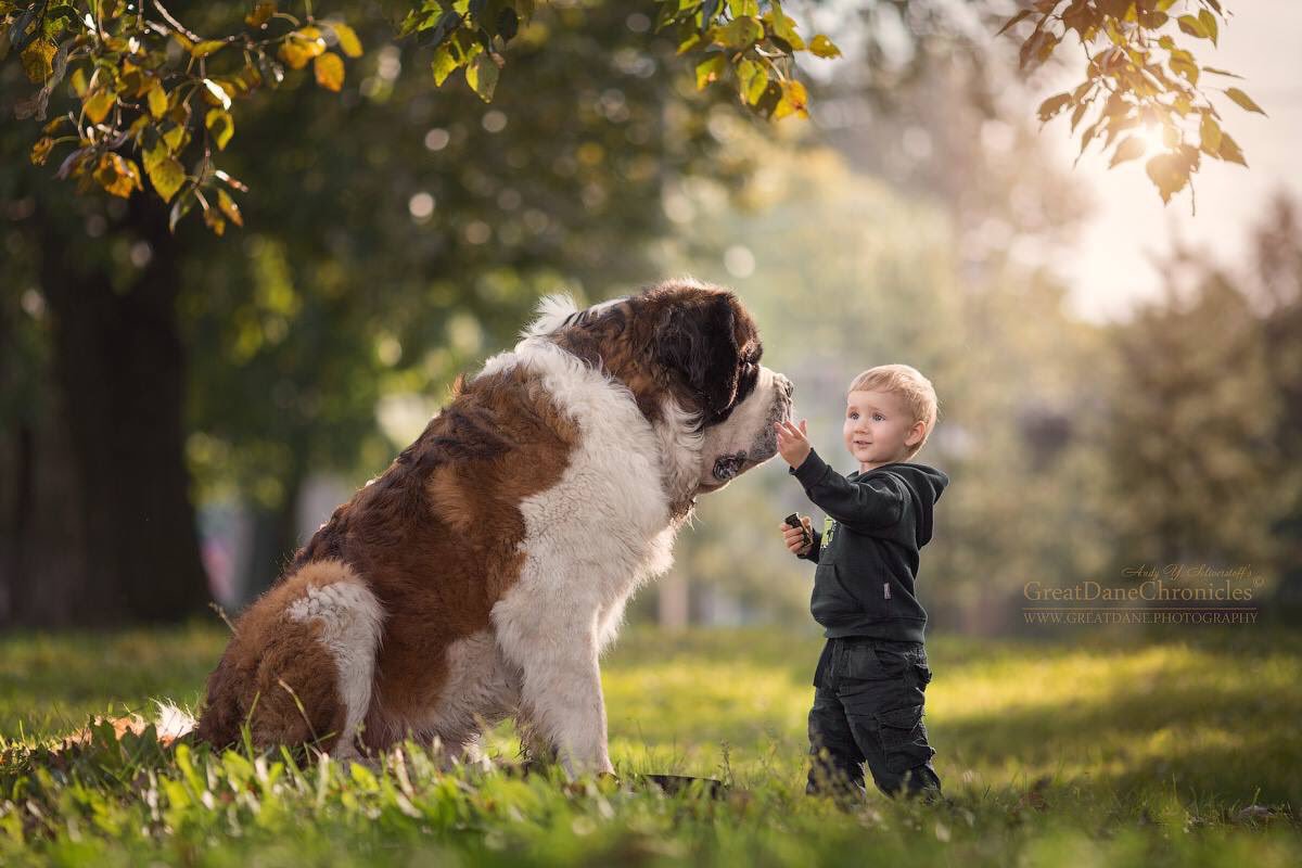 ребенок собаки и человека фото