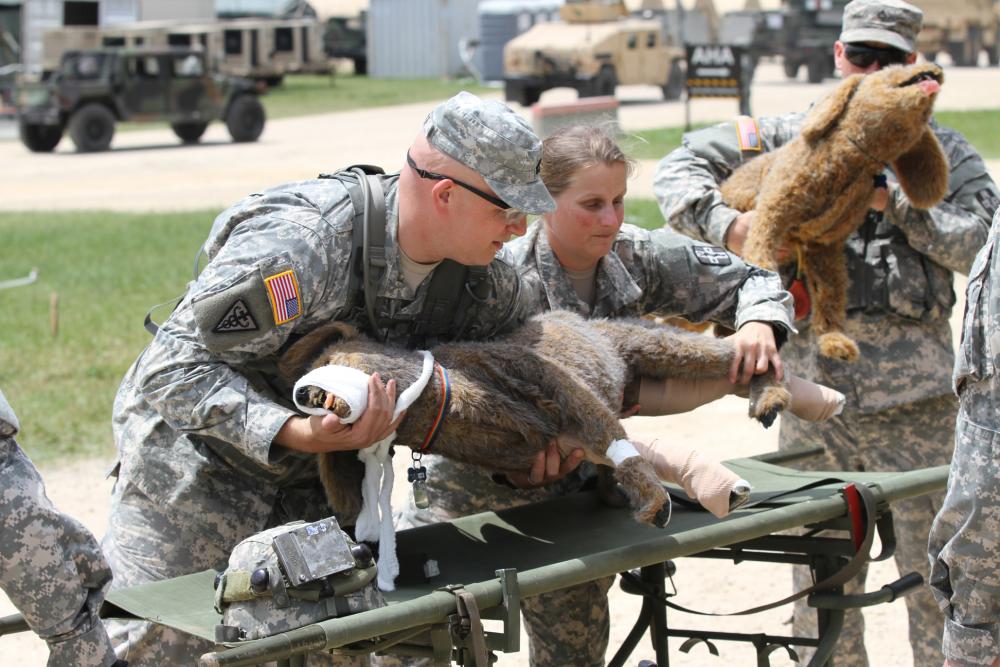Обучение военных ветеринаров