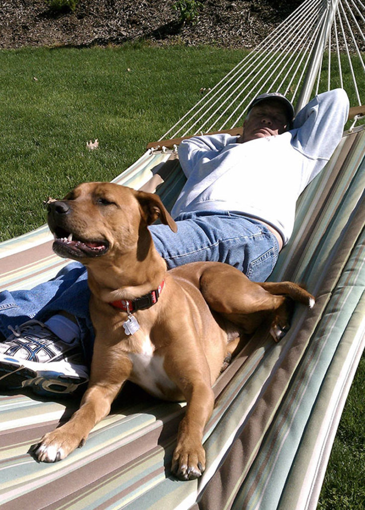 Папа и собака