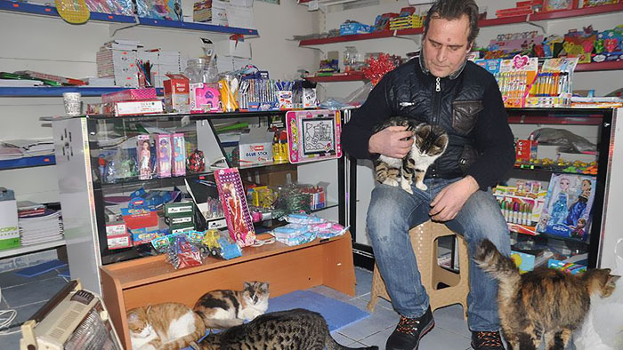 В Стамбуле спасают кошек от холода
