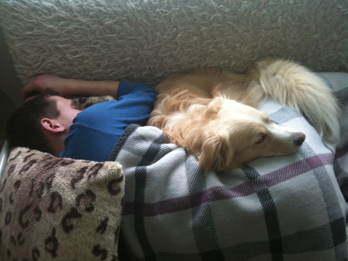 Собака спит с хозяином