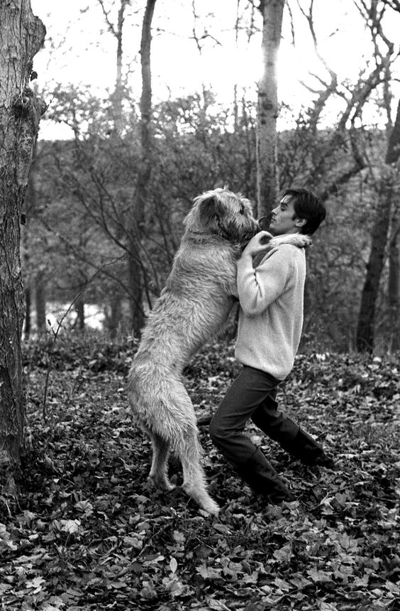 Ален Делон и собака