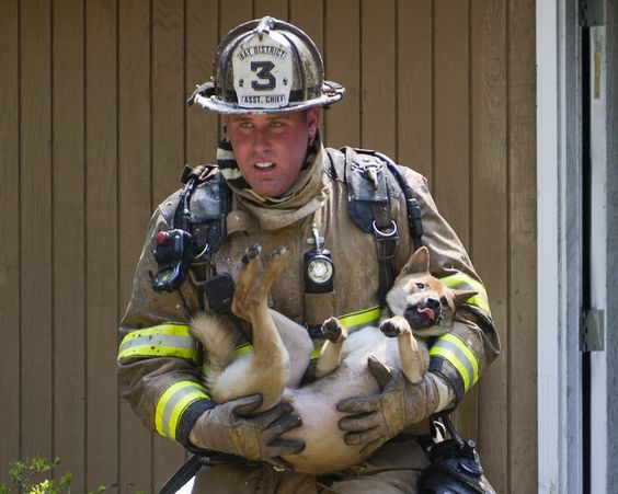 Пожарный спасает собаку