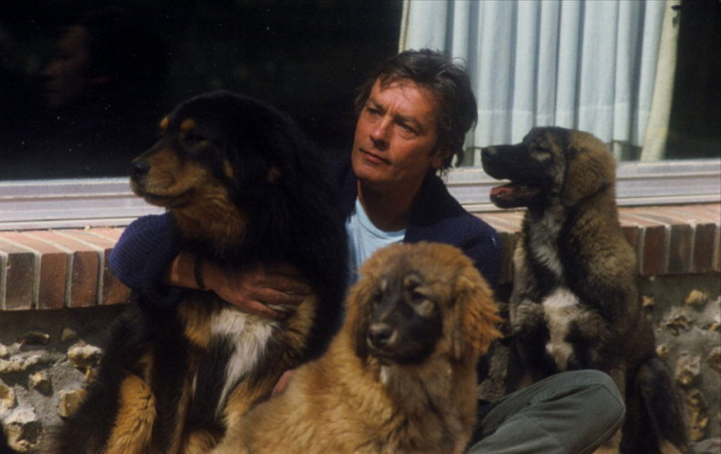 Ален Делон и его собаки