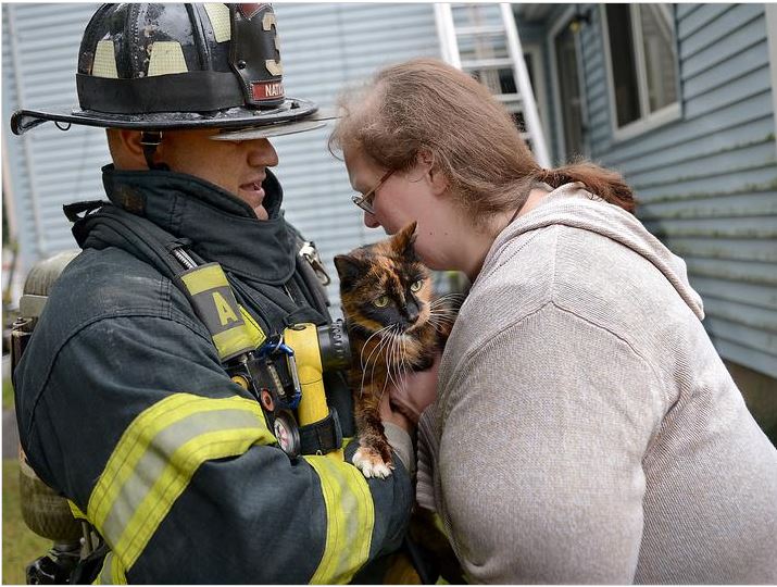 Пожарный спасает кошку
