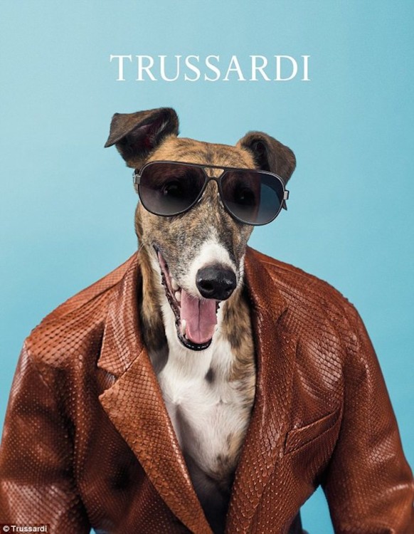 Рекламная кампания Trussardi
