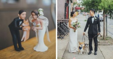 Собаки на свадьбе хозяев